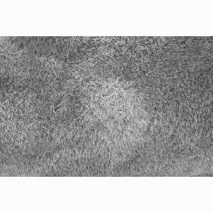 Whorl